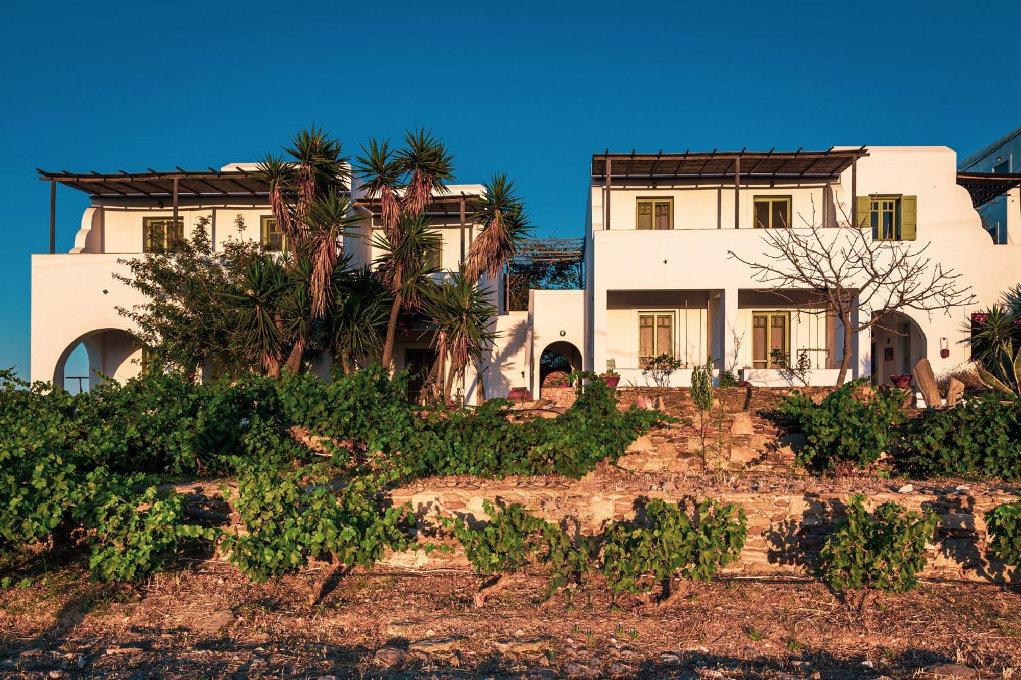 Ailouros Summer Hotel Schoinoussa エクステリア 写真