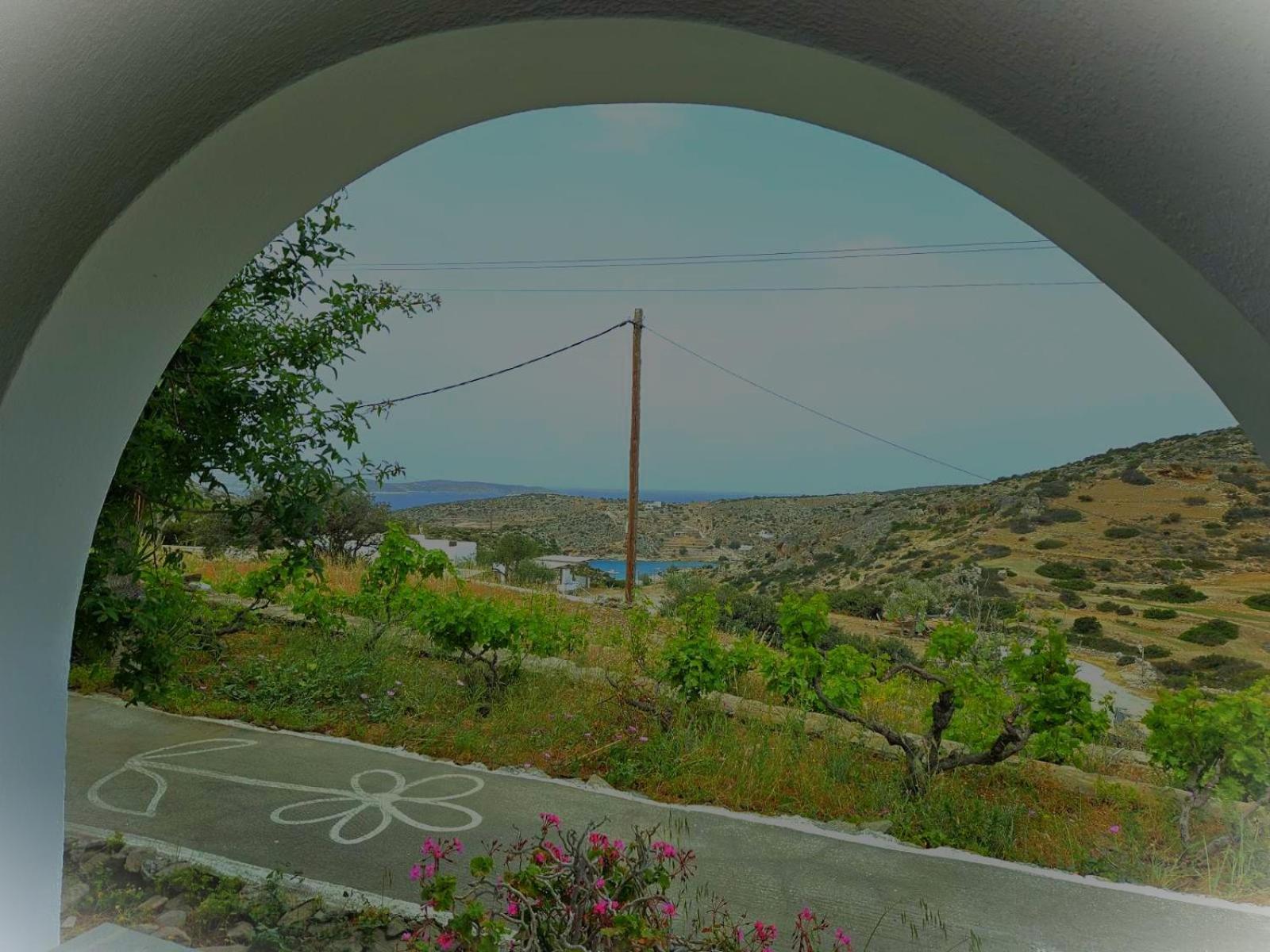 Ailouros Summer Hotel Schoinoussa エクステリア 写真
