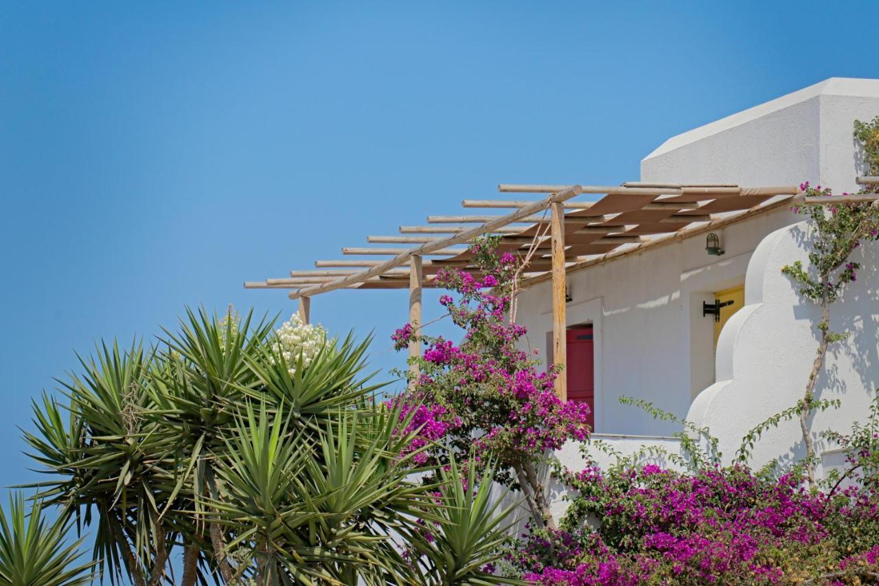 Ailouros Summer Hotel Schoinoussa エクステリア 写真